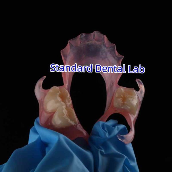 Standard Dental Lab Co., Limited γραμμή παραγωγής του κατασκευαστή