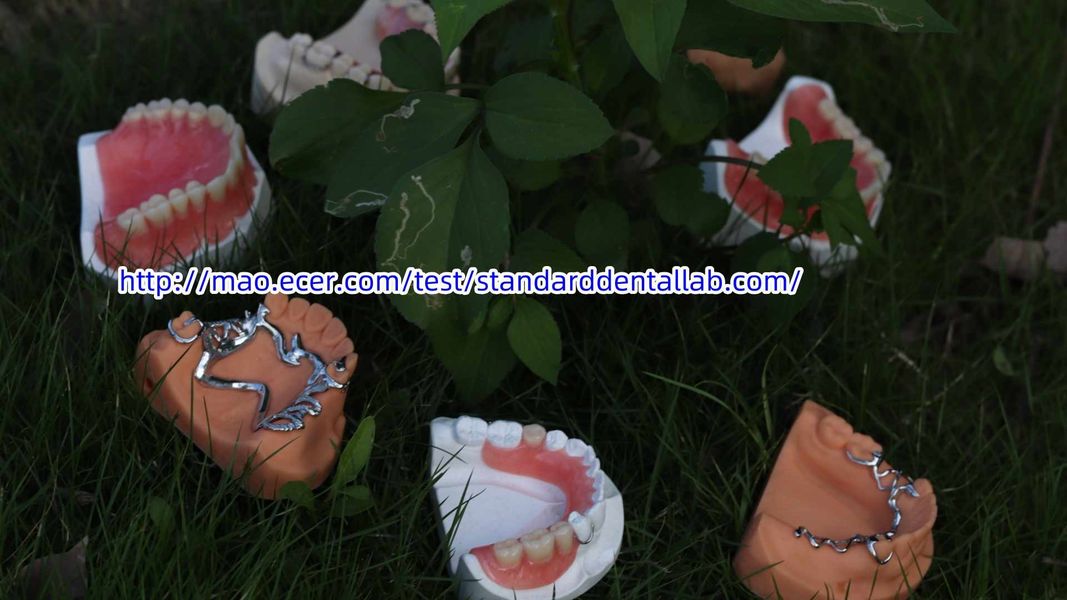 Standard Dental Lab Co., Limited γραμμή παραγωγής του κατασκευαστή