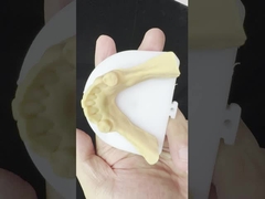 Μεταλλικά κράματα μερικώς Κοβάλτιο Χρωμικές οδοντοστοιχίες Ivoclar Scheftner άνετο μεταλλικό πλαίσιο