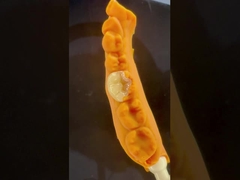 Δυνατότητα Emax Κέρας κεραμικών ελαστικών με εξαιρετική αντοχή σε λεκέδες / βιοσυμβατότητα